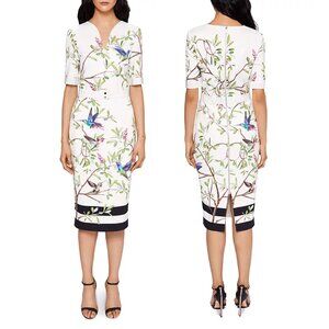 Ted Baker EVRELY HIGHGROVE Hummingbird Branch Blossom Sheath Midi Dresss, TD 0